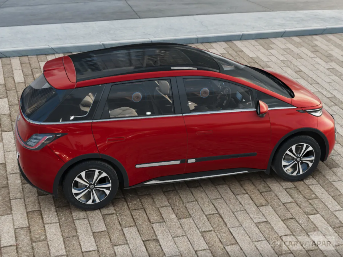 MG Windsor Windsor Exclusive Pro